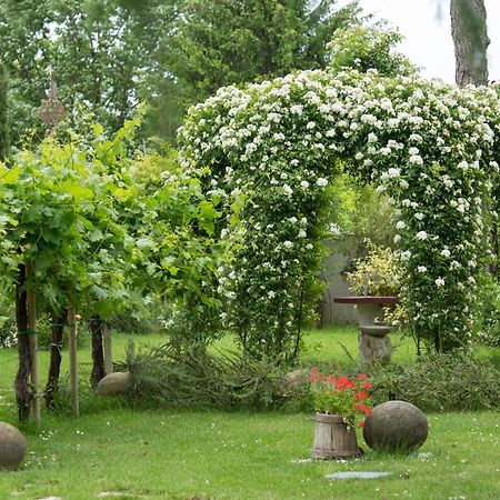 Ca'Bevilacqua Bed&Breakfast Bertinoro Exterior foto