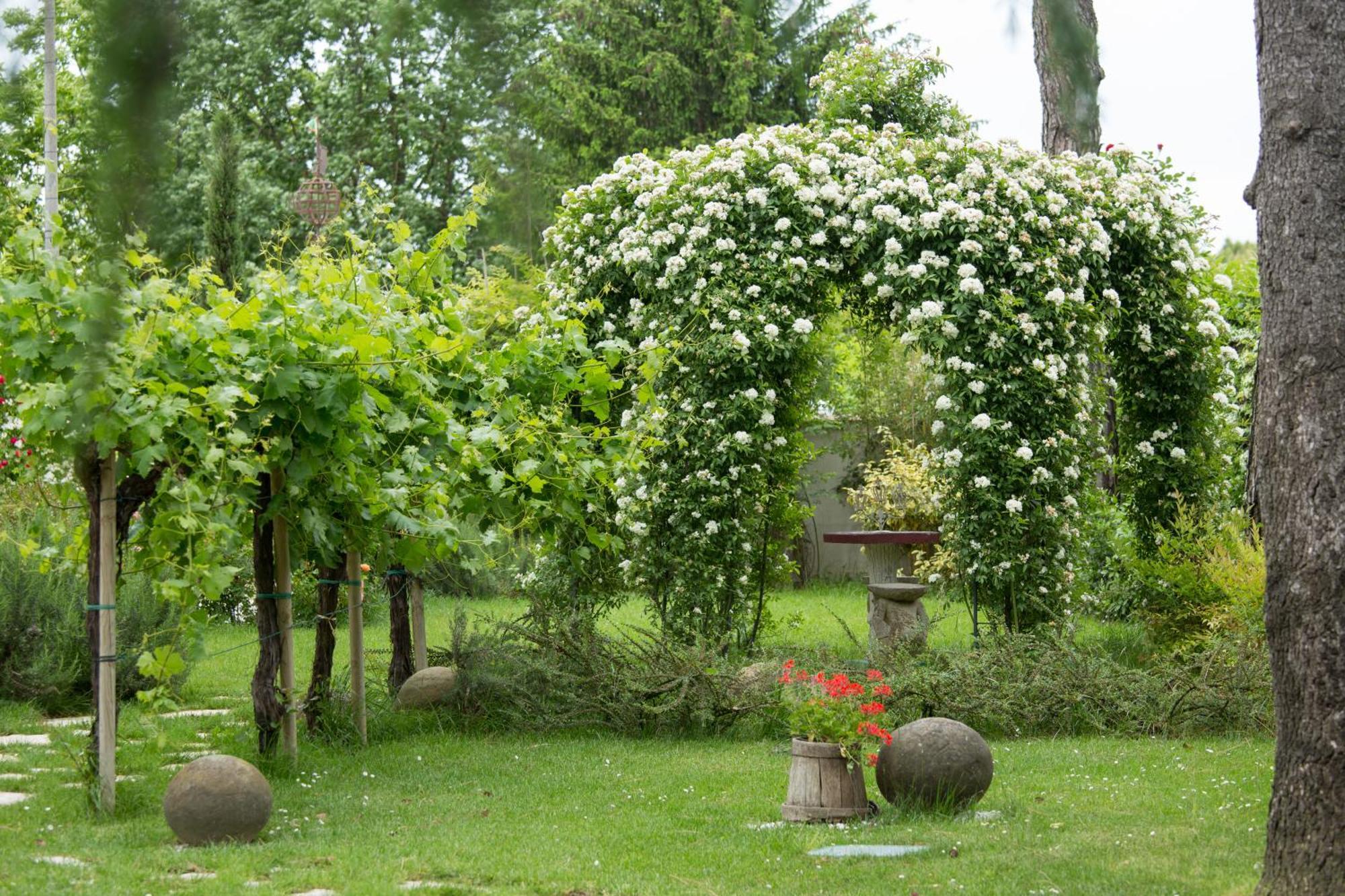 Ca'Bevilacqua Bed&Breakfast Bertinoro Exterior foto
