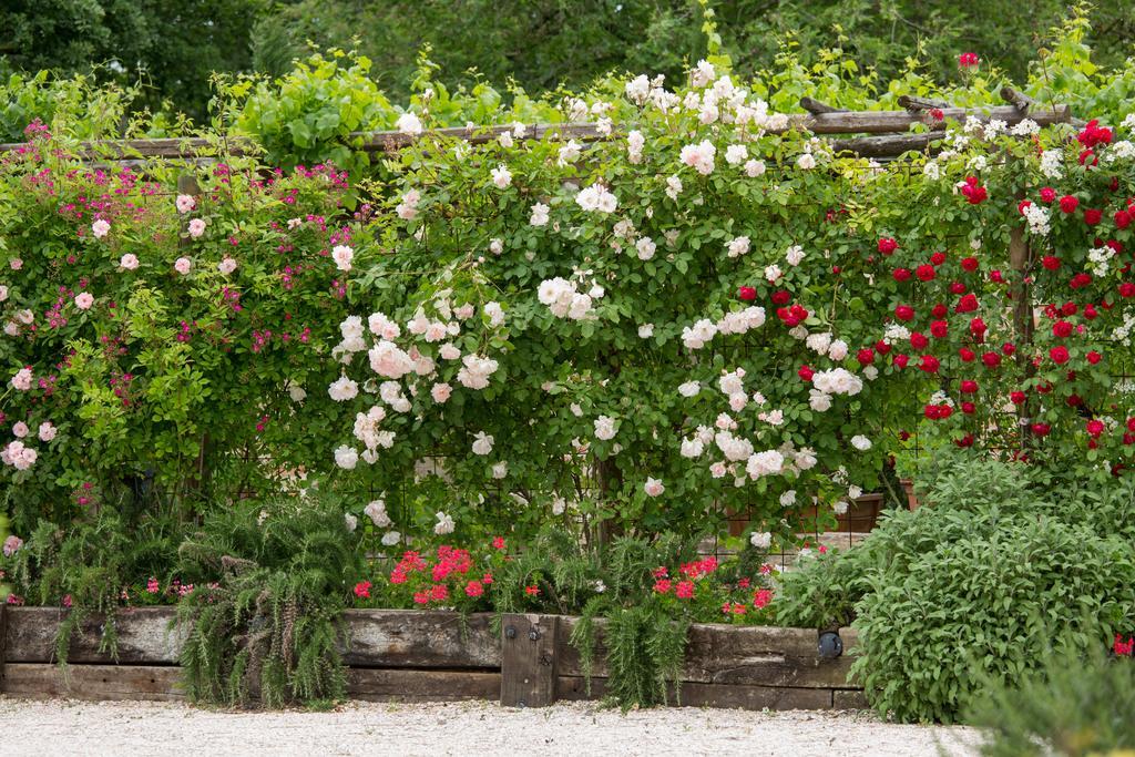 Ca'Bevilacqua Bed&Breakfast Bertinoro Exterior foto
