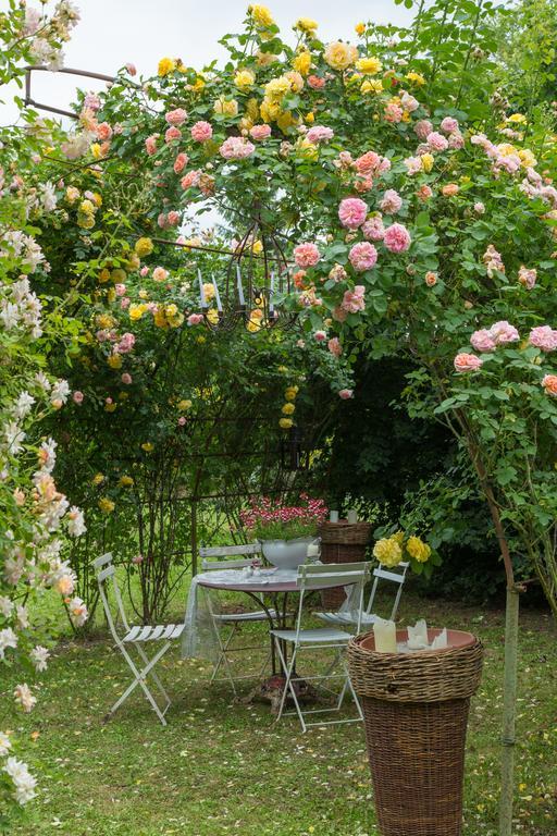 Ca'Bevilacqua Bed&Breakfast Bertinoro Exterior foto